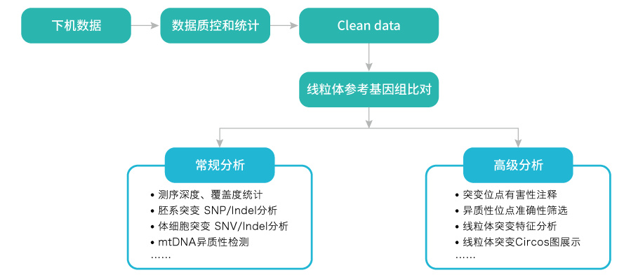 线粒体突变分析-数据分析- ■澳门十大棋牌排行榜最新■澳门十大棋牌排行榜推荐 线粒体突变分析-数据分析- ■澳门十大棋牌排行榜最新■澳门十大棋牌排行榜推荐