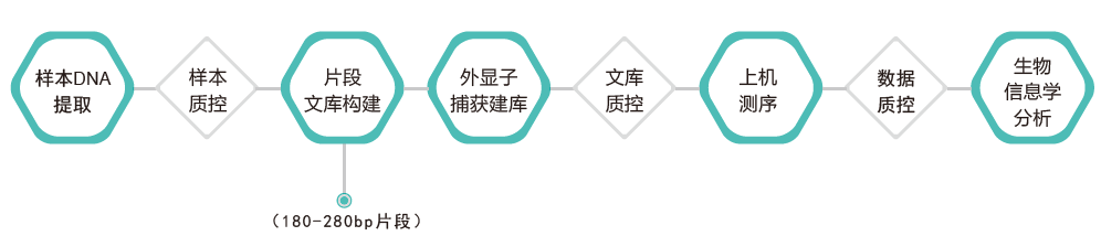 全外显子测序-技术路线- ■澳门十大棋牌排行榜最新■澳门十大棋牌排行榜推荐 全外显子测序-技术路线- ■澳门十大棋牌排行榜最新■澳门十大棋牌排行榜推荐