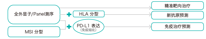 目标区域靶向捕获测序-肿瘤突变分析检测方法- ■澳门十大棋牌排行榜最新■澳门十大棋牌排行榜推荐 