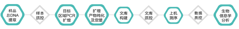 16S 18S ITS扩增子-技术路线- ■澳门十大棋牌排行榜最新■澳门十大棋牌排行榜推荐 