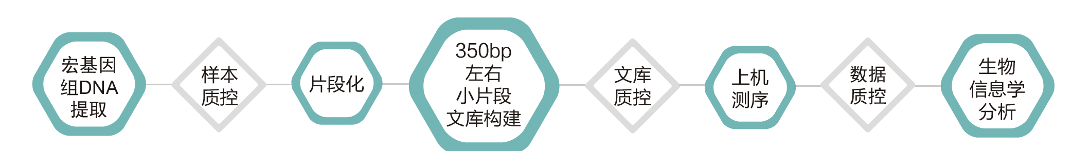 宏基因组测序-技术路线- ■澳门十大棋牌排行榜最新■澳门十大棋牌排行榜推荐 