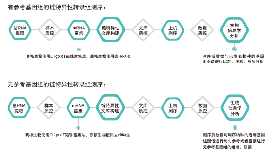 转录组测序-技术路线- ■澳门十大棋牌排行榜最新■澳门十大棋牌排行榜推荐 