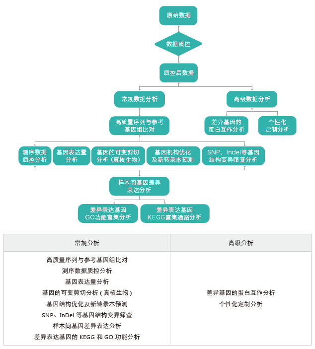 转录组测序-生信分析流程（有参）- ■澳门十大棋牌排行榜最新■澳门十大棋牌排行榜推荐 
