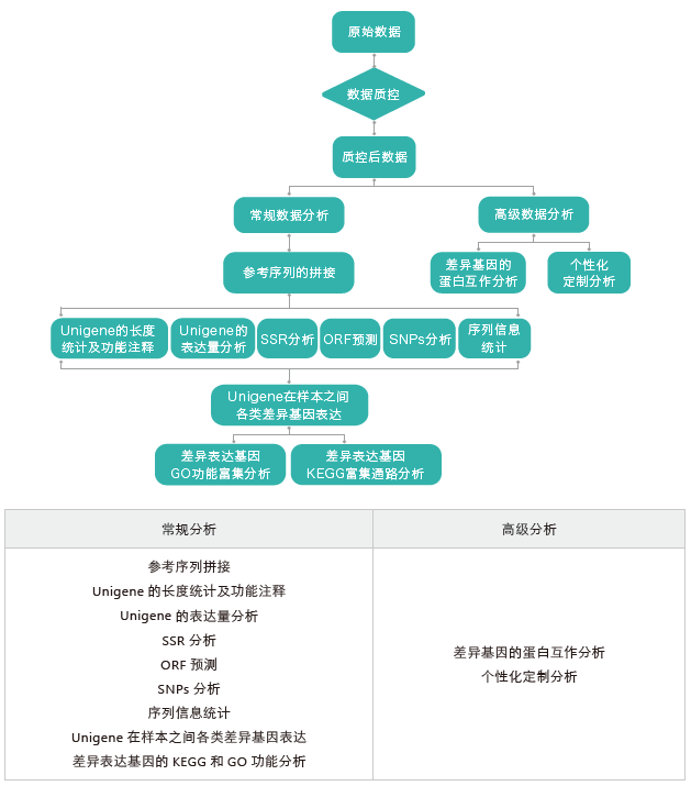 转录组测序-生信分析流程（无参）- ■澳门十大棋牌排行榜最新■澳门十大棋牌排行榜推荐 