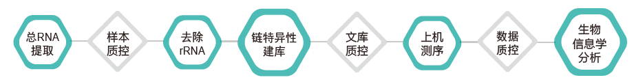 长链非编码RNA（lncRNA）测序-技术路线- ■澳门十大棋牌排行榜最新■澳门十大棋牌排行榜推荐 
