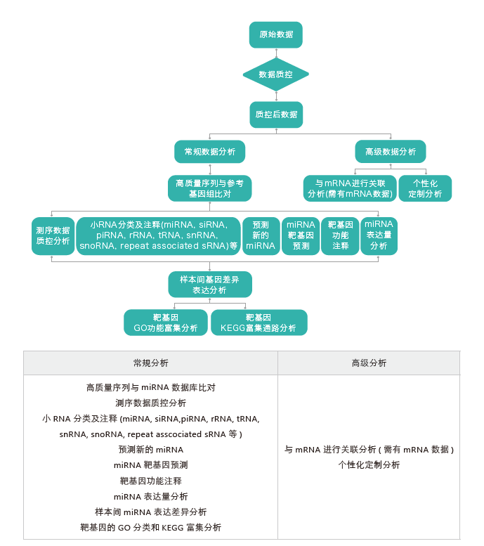 小RNA（small RNA）测序-生信分析流程- ■澳门十大棋牌排行榜最新■澳门十大棋牌排行榜推荐 