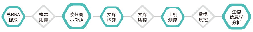 小RNA（small RNA）测序-技术路线- ■澳门十大棋牌排行榜最新■澳门十大棋牌排行榜推荐 