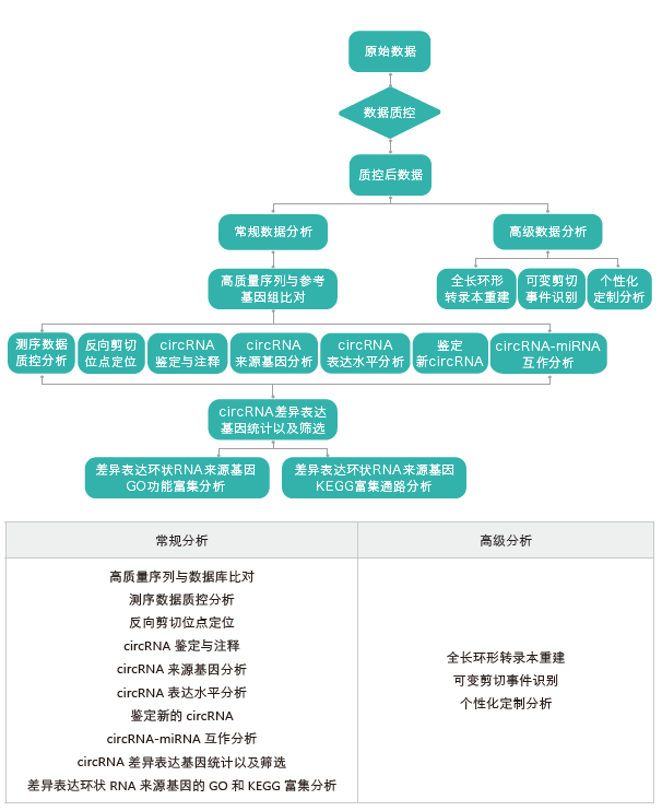 环状RNA（circRNA）测序-生信分析流程- ■澳门十大棋牌排行榜最新■澳门十大棋牌排行榜推荐 