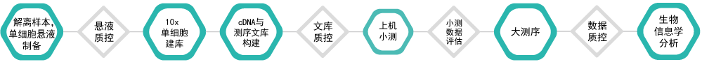 单细胞转录组测序-技术流程- ■澳门十大棋牌排行榜最新■澳门十大棋牌排行榜推荐 