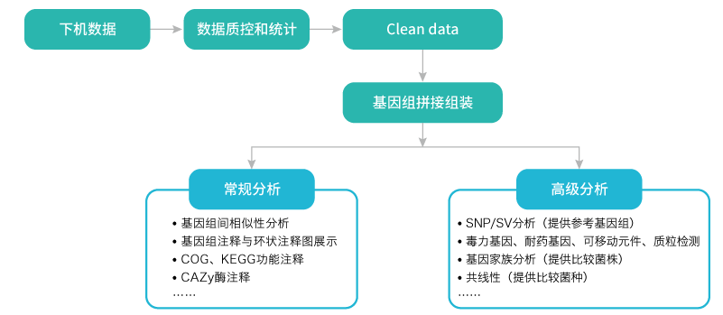 微生物基因组重测序-分析- ■澳门十大棋牌排行榜最新■澳门十大棋牌排行榜推荐 