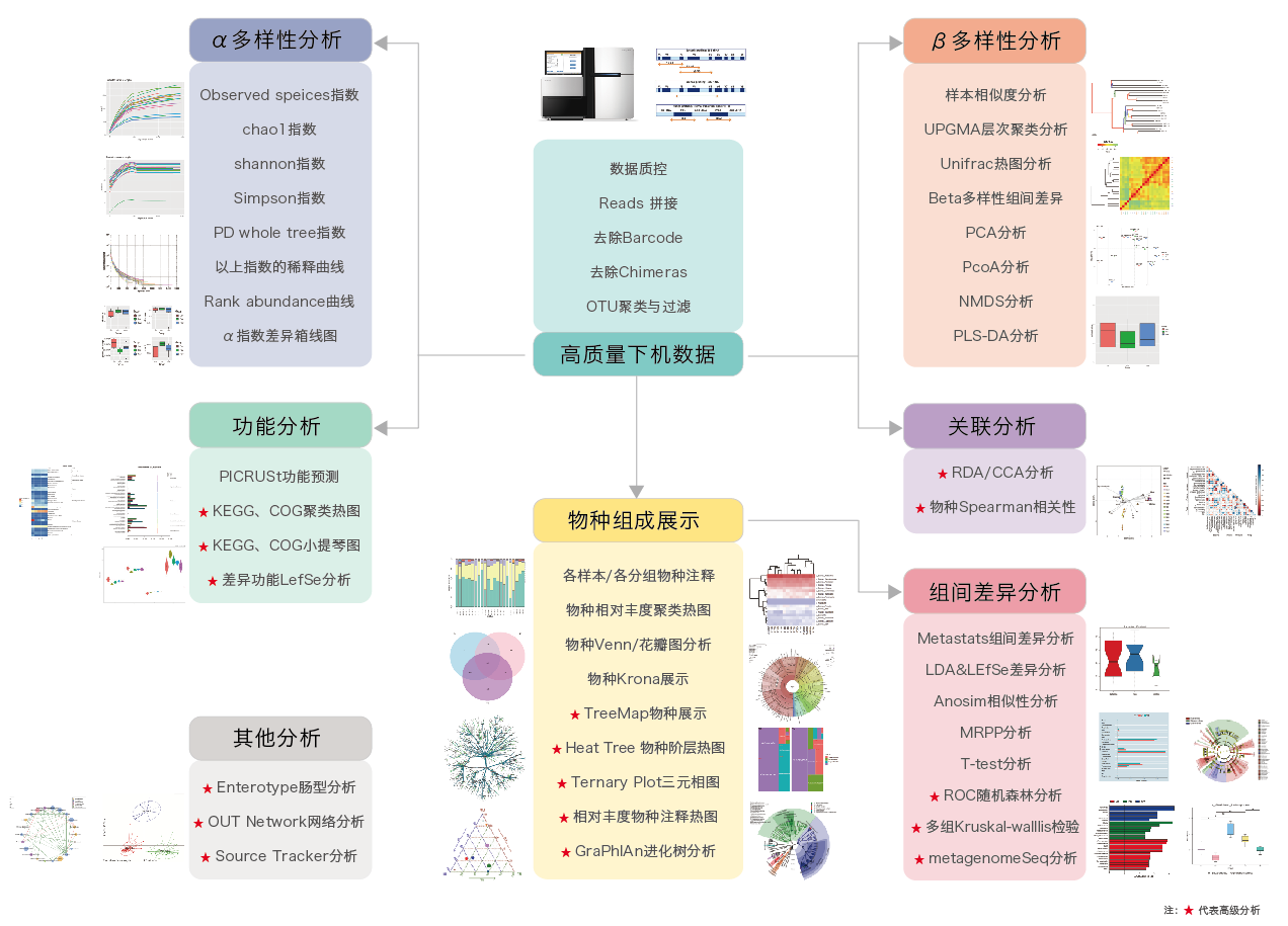 16S/18S/ITS扩增子测序-生信分析流程- ■澳门十大棋牌排行榜最新■澳门十大棋牌排行榜推荐 