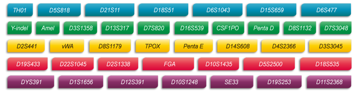  ■澳门十大棋牌排行榜最新■澳门十大棋牌排行榜推荐 Microreader™ 36A ID System位点
