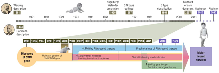 SMA研究进展_ ■澳门十大棋牌排行榜最新■澳门十大棋牌排行榜推荐 