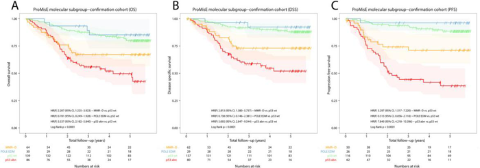 ProMisE 对EC队列（n = 319）进行Kaplan-Meier生存分析_子宫内膜癌的分子分型_ ■澳门十大棋牌排行榜最新■澳门十大棋牌排行榜推荐 