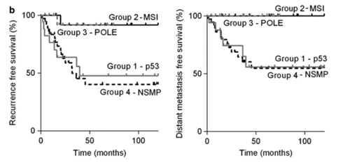 子宫内膜癌高风险患者无复发和无远处转移的生存率_子宫内膜癌的分子分型_ ■澳门十大棋牌排行榜最新■澳门十大棋牌排行榜推荐 