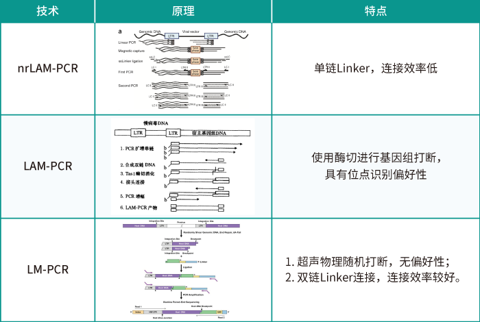 慢病毒随机插入的位点评估方法_ ■澳门十大棋牌排行榜最新■澳门十大棋牌排行榜推荐 _慢病毒插入位点检测