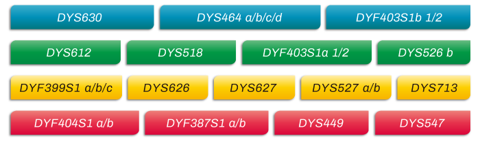 MicroreaderTM-RM-Y-ID-System位点信息_家系排查中如何运用好RM Y-STR?_ ■澳门十大棋牌排行榜最新■澳门十大棋牌排行榜推荐 MicroreaderTM-RM-Y-ID-System位点信息_家系排查中如何运用好RM Y-STR?_ ■澳门十大棋牌排行榜最新■澳门十大棋牌排行榜推荐